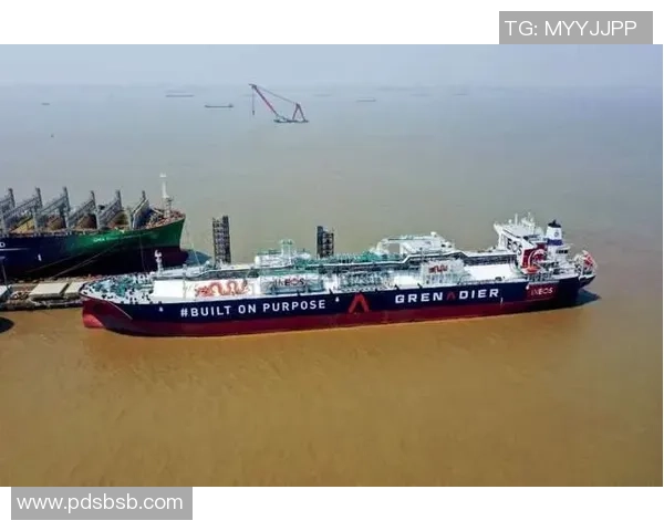 专业分析：LNG如何通过快速策略在市场中占据优势